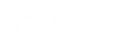 Teamian